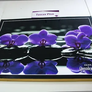Orquidea West Colombia